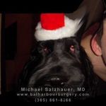 Matthew Lonergan - Instagram Profile Picture of Matthew Lonergan (@lonergan2276) on Instagram