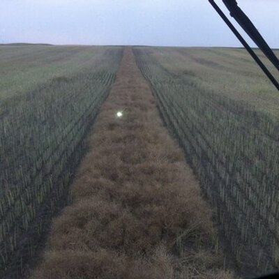 Profile Picture of Aaron Bouchard (@bouche79) on Twitter