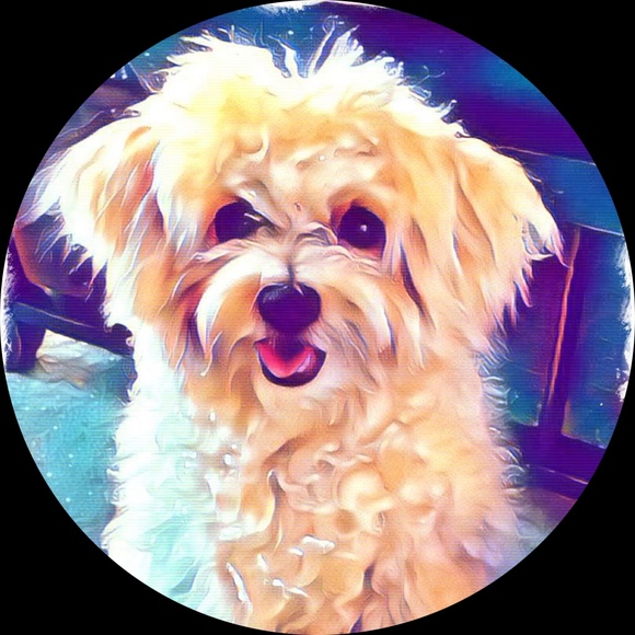 Profile Picture of Tammy Lupo (@knuppers) on Poshmark