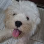 Profile Picture of Yohane Bob Ligan (@cottonboltkraven) on Facebook