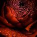 Profile Picture of Serena Dirskell (@Serena-Dirskell) on Facebook