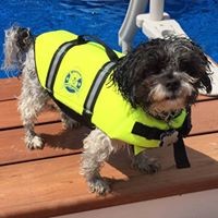 Profile Picture of Lynnette Higgins (@lynnette-higgins) on Quora