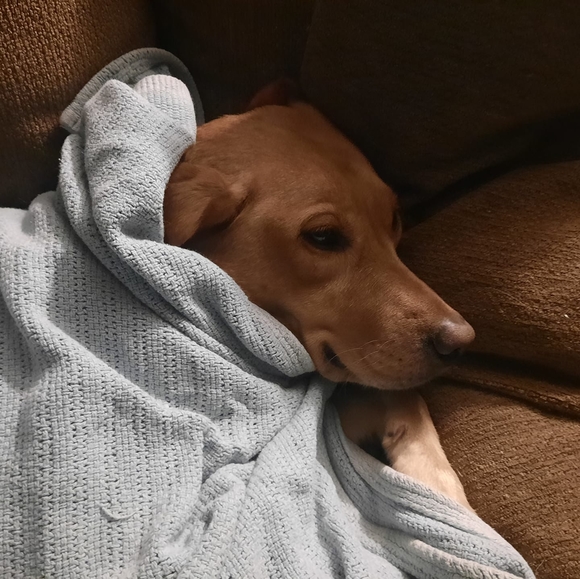 Profile Picture of Lilith Lilith (@afinkes) on Poshmark