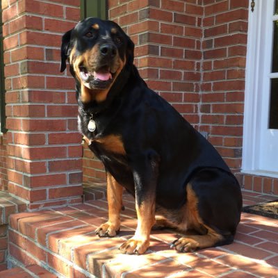 Profile Picture of William Chenault (@WilliamChenault) on Twitter