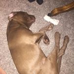 Profile Picture of Dixie (@dixie_mathews19) on Instagram