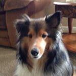 Profile Picture of Beth Olson (@betholson5504) on Instagram