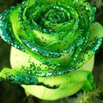 chad lemmon - Instagram Profile Picture of chad lemmon (@lemmonc9168) on Instagram