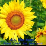 Profile Picture of Hubert Cuthbert Humphrey Peterson (@Hubert-Cuthbert-Humphrey-Peterson) on Facebook