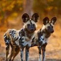 Profile Picture of David Hennen (@david-hennen) on Quora