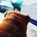 Profile Picture of Maria baena moreno Fernández (@maria_baena_2009) on Instagram
