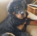 Profile Picture of Brad Prochaska (@brad.prochaska.3) on Facebook