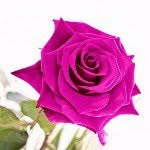 Profile Picture of brandy torrez (@brandytorrez) on Instagram