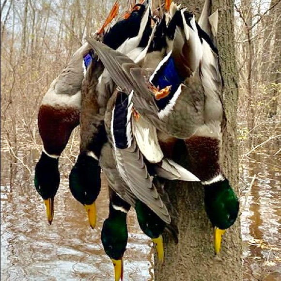 Profile Picture of Taylor Wallace (@twallace3461) on Poshmark