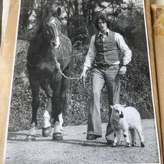 Profile Picture of patman (@patrickcunnane6) on Tiktok