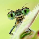 Profile Picture of David Strittmatter (@david.strittmatter.16) on Facebook