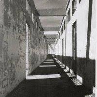 Profile Picture of Edward Griffith (@edward-griffith-7) on Quora