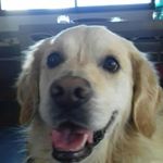 Profile Picture of lucas marty (@marty_lucas_81) on Instagram