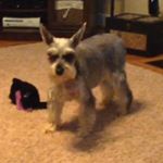 Shawn Traylor - Instagram Profile Picture of Shawn Traylor (@straylor11) on Instagram