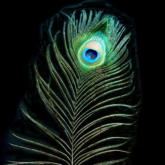 Profile Picture of Stephanie Oase (@meowstephanie) on Poshmark