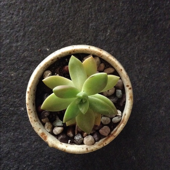 Profile Picture of Meg Anderson (@heyitsmegnicole) on Poshmark