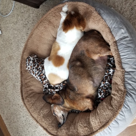 Profile Picture of Lisa Siverling (@siverling2008) on Poshmark