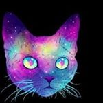 Profile Picture of Matthew Reagan Tsosie (@fried_roach) on Instagram