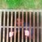 Profile Picture of Benjamin Gleason (@benjamin.gleason.18) on Facebook
