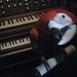 Profile Picture of Michael Turnquist (@turnquistmichael) on Instagram