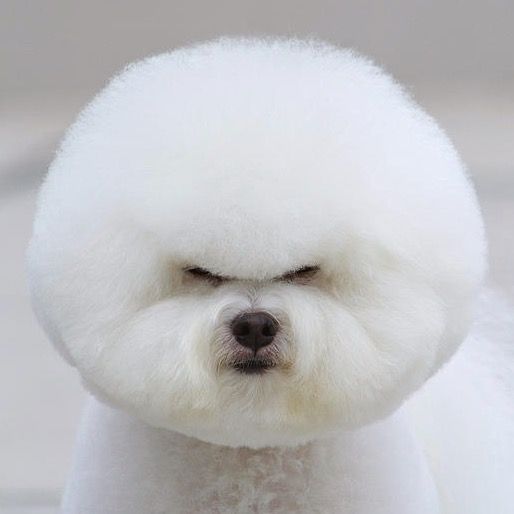 Profile Picture of Chris Leaming (@spiritenema) on Tiktok