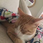 luke macias - Instagram Profile Picture of luke macias (@lukemacias8) on Instagram