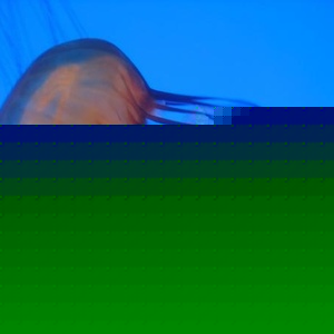 Profile Picture of Nancy Bloom (@bugbyhead) on Myspace