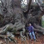 Profile Picture of Javier Cavero de Carondelet (@arbolred) on Instagram