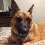 Profile Picture of Ava Jean Garrett (@avajeangarrett) on Instagram