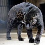 Profile Picture of Tyler Norberg (@tarnorberg) on Instagram