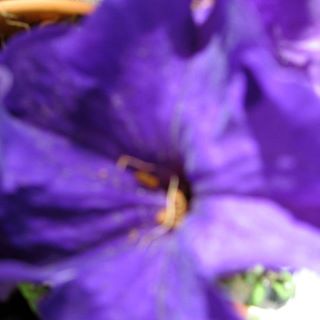 Profile Picture of Edna Hoagland (@EdnaHoagland) on Facebook