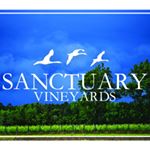 John Wright - Instagram Profile Picture of John Wright (@sanctuaryvineyards) on Instagram