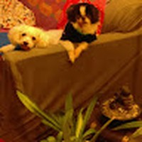 Profile Picture of Terry Doerr (@terry-doerr-4) on Quora