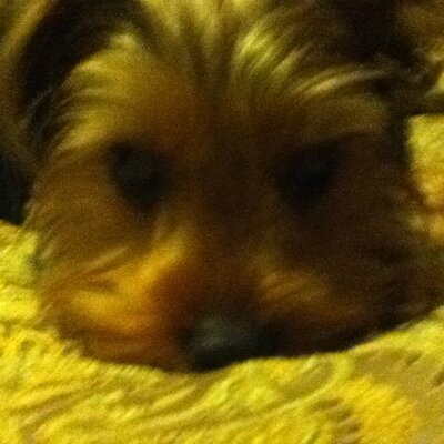 Profile Picture of Joshua Tidwell (@joshua_tidwell) on Twitter
