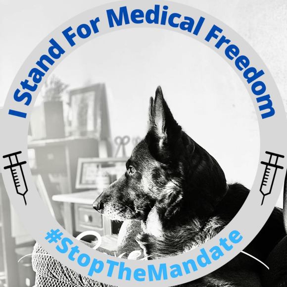 Profile Picture of Derrick Steele (@fireemt568) on Poshmark