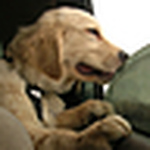 Profile Picture of Catherine Thompson (@cjtdesigns79) on Flickr