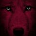 Profile Picture of Corey Wolf (Corey Enos) (@BladeNightFang) on Facebook