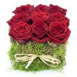 Profile Picture of Claudette Sanchez (@sanchezclaudette) on Instagram