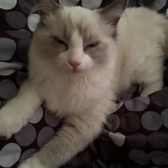 Profile Picture of Wen hao Wu (@whwu0727) on Poshmark