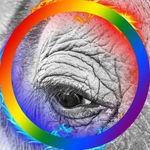 Profile Picture of Stefanie Bennett (@stefke.be) on Instagram