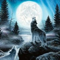 Profile Picture of Andrew Norberg (@AndrewNorberg2) on Twitter