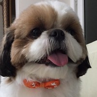 Christopher Sher - Quora Profile Picture of Christopher Sher (@christopher-sher) on Quora