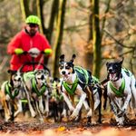 Profile Picture of Tomasz Pająk - Spider's Racing Team (@spidersracingteam) on Instagram