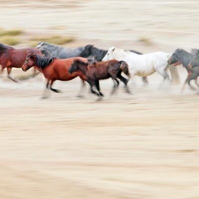 Profile Picture of Yeung Wah Hing (@wah_yeung) on Twitter