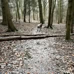 Profile Picture of Megan Patterson (@Megan-Patterson) on Facebook