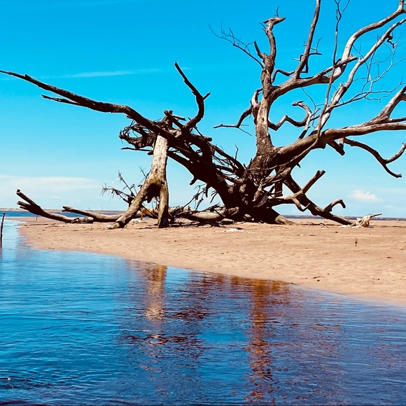 Profile Picture of Pablo Paul (@pablopaul190) on Poshmark